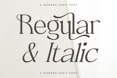 Metrolin – Modern Serif Font Font Storytype Studio 