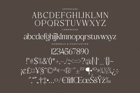 Metrolin – Modern Serif Font Font Storytype Studio 