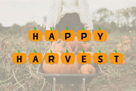 MF Fall Pumpkins Font Misti's Fonts 