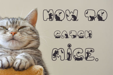 Mice Cats - Outline Decorative Font Font AnningArts Design 
