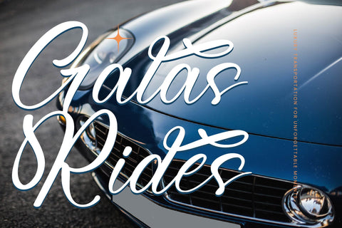 Michael Violena - Modern Bold Script Font Letterena Studios 