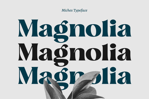 Miches Font Zeenesia Std 