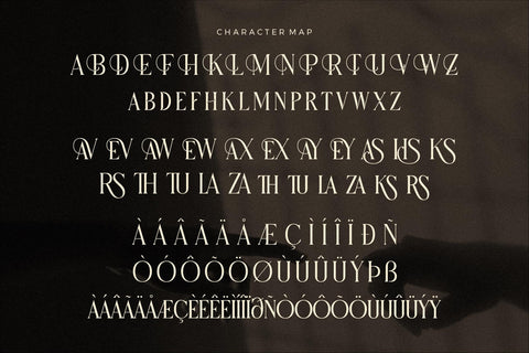 Micksenav - Display Serif Font Font Storytype Studio 