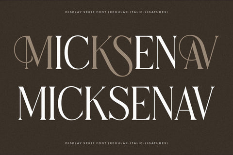 Micksenav - Display Serif Font Font Storytype Studio 