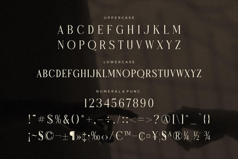 Micksenav - Display Serif Font Font Storytype Studio 