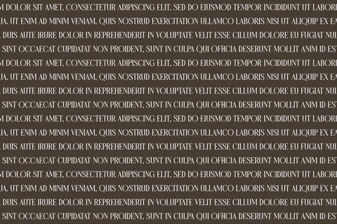 Micksenav - Display Serif Font Font Storytype Studio 