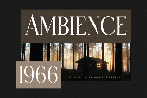 Micksenav - Display Serif Font Font Storytype Studio 