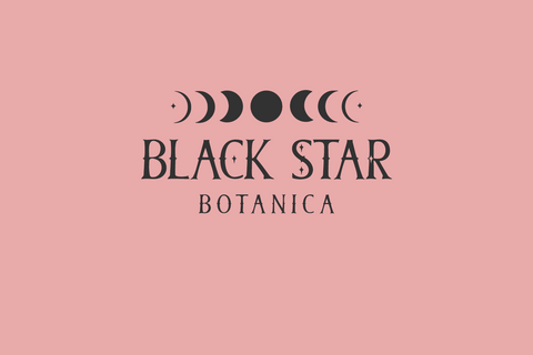 Midnight Apothecary Serif Font Beck McCormick 
