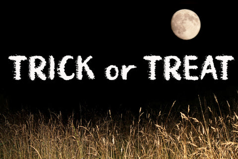 Midnight Brush Font AEN Creative Store 