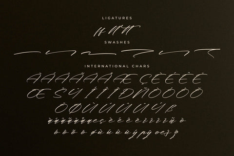 Midnight Realtime - Modern Calligraphy Script Font Letterena Studios 