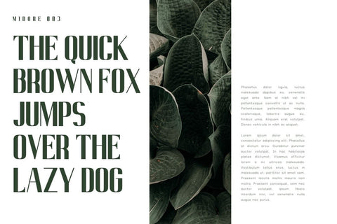 Midore - Modern Sans Font Font studioalmeera 