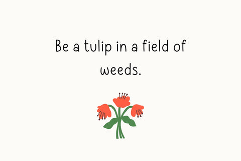 Midsummer Font Cotton White Studio 