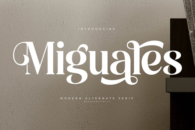 Miguales - Modern Alternate Serif Font Letterena Studios 