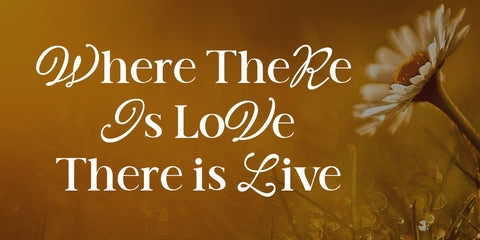 milano font Font Studio Rhd Store 