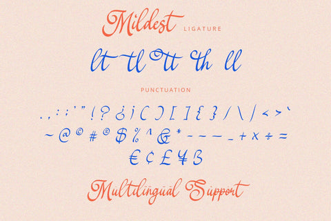 Mildest - Script Font Font Alpaprana Studio 