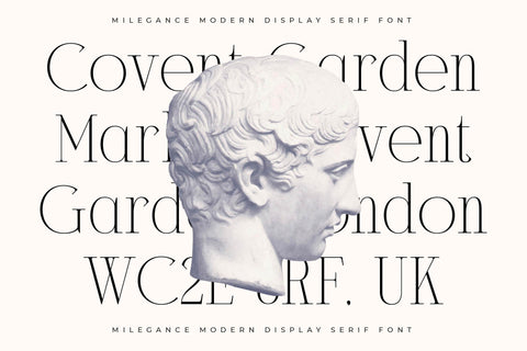 Milegance - Modern Display Serif Font Letterena Studios 