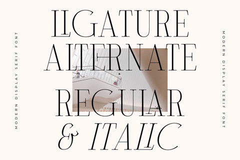 Milegance - Modern Display Serif Font Letterena Studios 