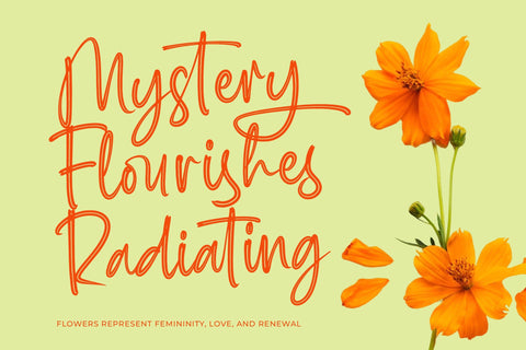 Milegants Dersonale - Modern Brush Font Font Letterena Studios 