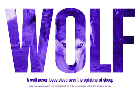 Milgaris - Modern Condensed Sans Serif Font studioalmeera 