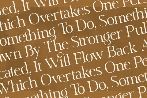 Milkade Typeface Font Storytype Studio 