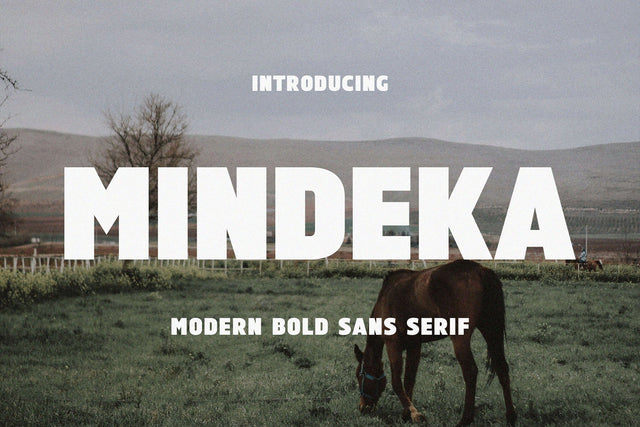 Mindeka - Ultra Bold Sans Serif Font studioalmeera 