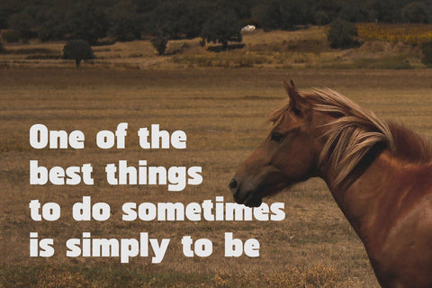 Mindeka - Ultra Bold Sans Serif Font studioalmeera 