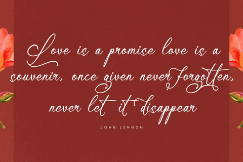 Mindnight Vibranttens - Elegant Script Font Letterena Studios 