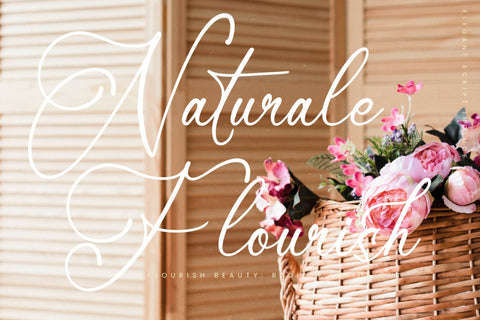 Mindnight Vibranttens - Elegant Script Font Letterena Studios 