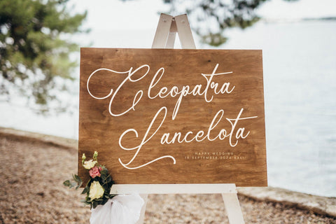 Mindnight Vibranttens - Elegant Script Font Letterena Studios 