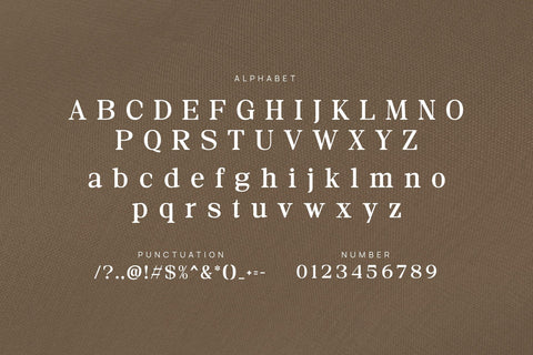 Minggu - Elegant Serif Font Font studioalmeera 