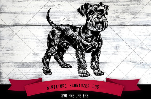Miniature Schnauzer Dog SVG, Dog SVG, Logo - Digital Download with Commercial License for Cricut, Silhouette, Scan N Cut Crafting SVG Loveleen Kaur 