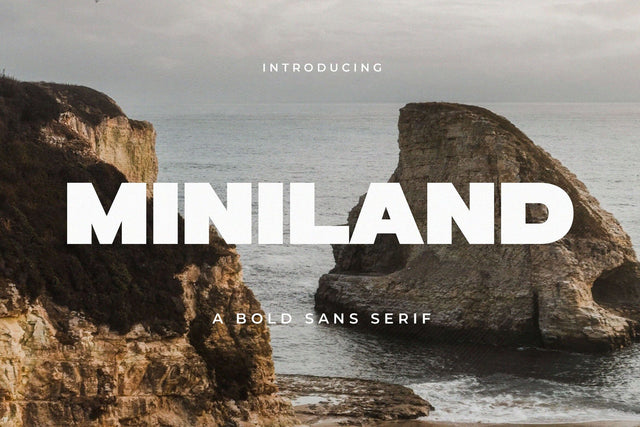 Miniland - A Bold Sans Serif Font studioalmeera 