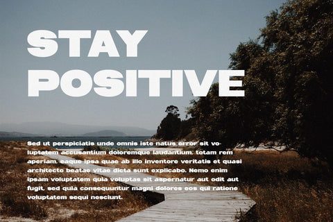 Miniland - A Bold Sans Serif Font studioalmeera 