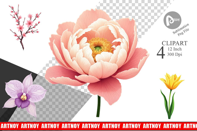 Minimalist Florals Clipart Sublimation artnoy 