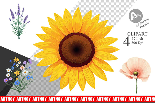 Minimalist Florals Clipart Sublimation artnoy 