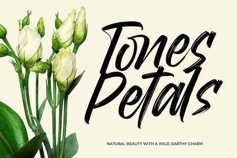 Mirage Factory - Bold Brush Font Font Letterena Studios 