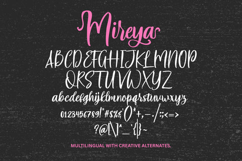 Mireya Font gatype 