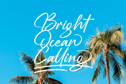 Mirtone Spentoy - Bold Brush Font Font Letterena Studios 