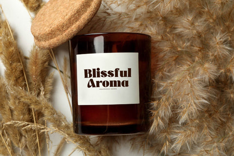 Misflen Radio - Modern Bold Serif Font Font Letterena Studios 