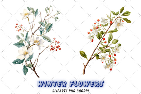 Mistletoe Clipart Bundle - High Quality - Digital Download - Commercial Use, Watercolor, Mixed Media, Digital Paper Sublimation FloridPrintables 