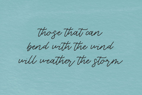 Mistral Script Font Beck McCormick 