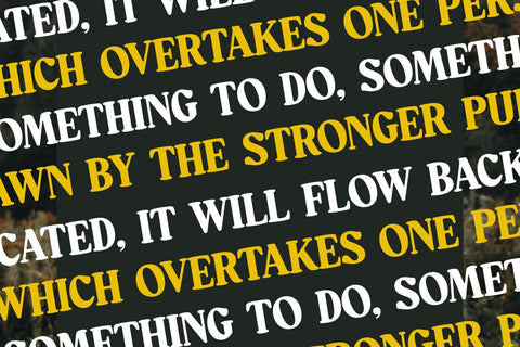 Mistys Relrica - Modern Retro Serif Font Letterena Studios 