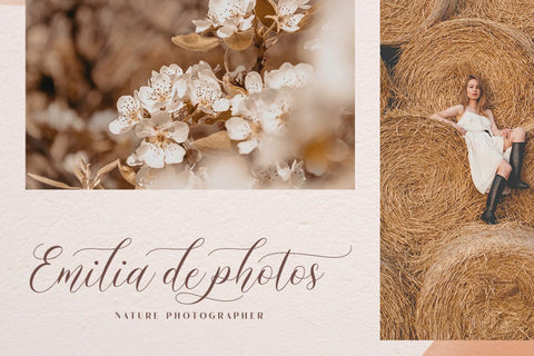 Mockingbird | Modern Calligraphy Font studioalmeera 