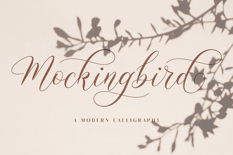 Mockingbird | Modern Calligraphy Font studioalmeera 