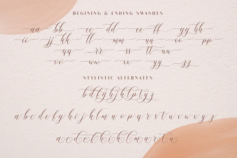 Mockingbird | Modern Calligraphy Font studioalmeera 
