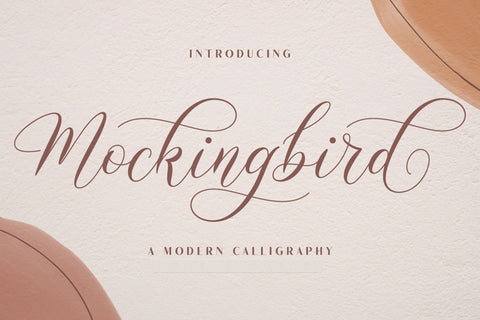Mockingbird | Modern Calligraphy Font studioalmeera 