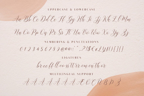 Mockingbird | Modern Calligraphy Font studioalmeera 