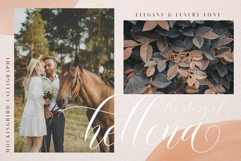 Mockingbird | Modern Calligraphy Font studioalmeera 