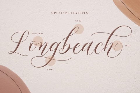 Mockingbird | Modern Calligraphy Font studioalmeera 