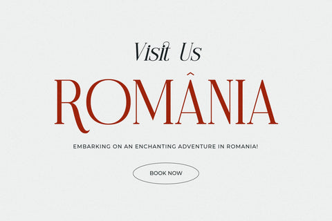 Modasite - Modern Serif Font Font Letterena Studios 